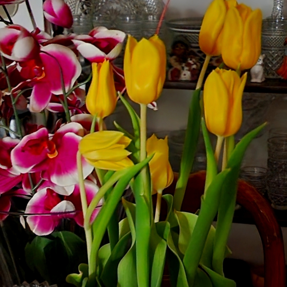 Meet your Posher, Priscilena